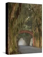 Entrance To Bethesda in Early Morning Light, Savannah, Georgia, USA-Joanne Wells-Stretched Canvas