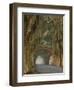 Entrance To Bethesda in Early Morning Light, Savannah, Georgia, USA-Joanne Wells-Framed Photographic Print