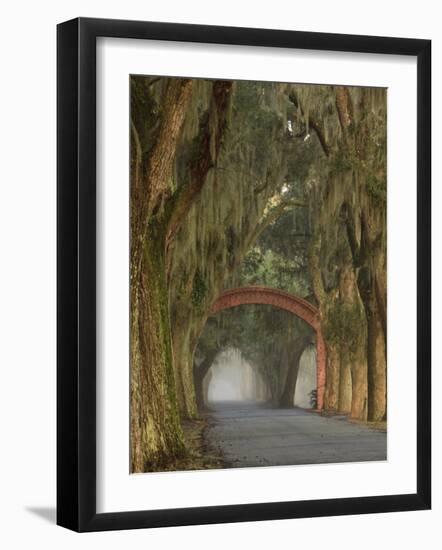 Entrance To Bethesda in Early Morning Light, Savannah, Georgia, USA-Joanne Wells-Framed Photographic Print