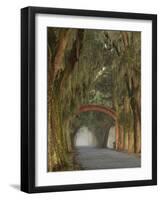 Entrance To Bethesda in Early Morning Light, Savannah, Georgia, USA-Joanne Wells-Framed Photographic Print