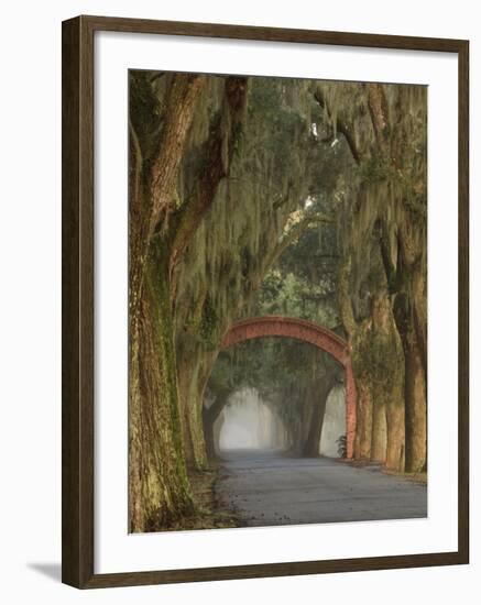 Entrance To Bethesda in Early Morning Light, Savannah, Georgia, USA-Joanne Wells-Framed Photographic Print