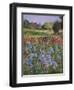 Entrance to Burgate Green-Timothy Easton-Framed Giclee Print