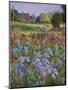 Entrance to Burgate Green-Timothy Easton-Mounted Giclee Print