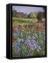 Entrance to Burgate Green-Timothy Easton-Framed Stretched Canvas