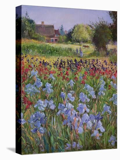 Entrance to Burgate Green-Timothy Easton-Stretched Canvas