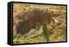 Entrance to Carlsbad Caverns, New Mexico-null-Framed Stretched Canvas