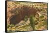 Entrance to Carlsbad Caverns, New Mexico-null-Framed Stretched Canvas