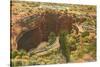 Entrance to Carlsbad Caverns, New Mexico-null-Stretched Canvas