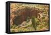 Entrance to Carlsbad Caverns, New Mexico-null-Framed Stretched Canvas