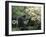Entrance to Keenland Horse Race Track, Lexington, Kentucky, USA-Michele Molinari-Framed Premium Photographic Print