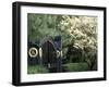 Entrance to Keenland Horse Race Track, Lexington, Kentucky, USA-Michele Molinari-Framed Photographic Print