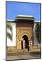 Entrance to Main Mosque, Rabat, Morocco, North Africa, Africa-Neil Farrin-Mounted Photographic Print
