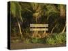 Entrance to Mawamba Eco Lodge from Tortuguero Beach, Tortuguero National Park, Costa Rica-R H Productions-Stretched Canvas