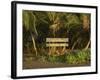 Entrance to Mawamba Eco Lodge from Tortuguero Beach, Tortuguero National Park, Costa Rica-R H Productions-Framed Photographic Print