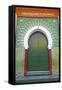 Entrance to Mosque, Tangier, Morocco, North Africa, Africa-Neil Farrin-Framed Stretched Canvas