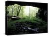 Entrance to Russell Cave National Monument, Alabama, USA-William Sutton-Stretched Canvas
