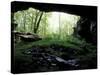 Entrance to Russell Cave National Monument, Alabama, USA-William Sutton-Stretched Canvas