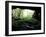 Entrance to Russell Cave National Monument, Alabama, USA-William Sutton-Framed Premium Photographic Print