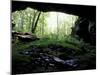 Entrance to Russell Cave National Monument, Alabama, USA-William Sutton-Mounted Premium Photographic Print