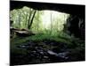 Entrance to Russell Cave National Monument, Alabama, USA-William Sutton-Mounted Photographic Print