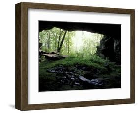 Entrance to Russell Cave National Monument, Alabama, USA-William Sutton-Framed Photographic Print
