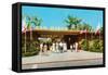 Entrance to San Diego Zoo-null-Framed Stretched Canvas