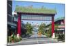 Entrance to the Chinese Quarter, Noumea, New Caledonia, Pacific-Michael Runkel-Mounted Photographic Print