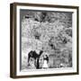 Entrance to the Great Pyramid of Giza, Egypt, 1905-Underwood & Underwood-Framed Photographic Print