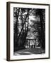 Entrance to the Issai Shinto Shrine, Japan-Alfred Eisenstaedt-Framed Photographic Print
