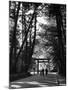Entrance to the Issai Shinto Shrine, Japan-Alfred Eisenstaedt-Mounted Photographic Print
