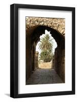 Entrance to the Theater, Roman ruins of Bulla Regia, Tunisia-Nico Tondini-Framed Photographic Print