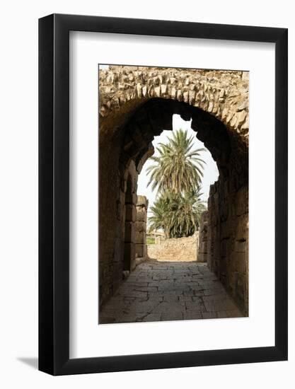 Entrance to the Theater, Roman ruins of Bulla Regia, Tunisia-Nico Tondini-Framed Photographic Print