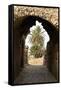 Entrance to the Theater, Roman ruins of Bulla Regia, Tunisia-Nico Tondini-Framed Stretched Canvas