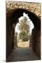 Entrance to the Theater, Roman ruins of Bulla Regia, Tunisia-Nico Tondini-Mounted Photographic Print