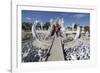 Entrance to the Wat Rong Khun (White Temple)-Stuart Black-Framed Photographic Print