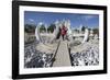 Entrance to the Wat Rong Khun (White Temple)-Stuart Black-Framed Photographic Print