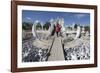 Entrance to the Wat Rong Khun (White Temple)-Stuart Black-Framed Photographic Print