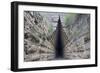 Entrance to Tsarskiy Kurghan-null-Framed Photographic Print