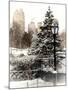 Entrance View to the Wollman Skating Rink of Central Park with a Snow Lamppost-Philippe Hugonnard-Mounted Photographic Print
