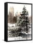 Entrance View to the Wollman Skating Rink of Central Park with a Snow Lamppost-Philippe Hugonnard-Framed Stretched Canvas