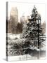 Entrance View to the Wollman Skating Rink of Central Park with a Snow Lamppost-Philippe Hugonnard-Stretched Canvas