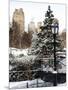 Entrance View to the Wollman Skating Rink of Central Park with a Snow Lamppost-Philippe Hugonnard-Mounted Photographic Print