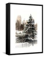 Entrance View to the Wollman Skating Rink of Central Park with a Snow Lamppost-Philippe Hugonnard-Framed Stretched Canvas