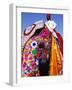 Entrant in Best Dressed Elephant Competition at Annual Elephant Festival, Jaipur, India-Paul Beinssen-Framed Photographic Print