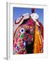 Entrant in Best Dressed Elephant Competition at Annual Elephant Festival, Jaipur, India-Paul Beinssen-Framed Photographic Print