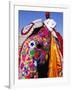 Entrant in Best Dressed Elephant Competition at Annual Elephant Festival, Jaipur, India-Paul Beinssen-Framed Photographic Print