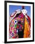 Entrant in Best Dressed Elephant Competition at Annual Elephant Festival, Jaipur, India-Paul Beinssen-Framed Photographic Print