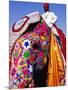 Entrant in Best Dressed Elephant Competition at Annual Elephant Festival, Jaipur, India-Paul Beinssen-Mounted Photographic Print