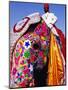Entrant in Best Dressed Elephant Competition at Annual Elephant Festival, Jaipur, India-Paul Beinssen-Mounted Premium Photographic Print