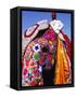 Entrant in Best Dressed Elephant Competition at Annual Elephant Festival, Jaipur, India-Paul Beinssen-Framed Stretched Canvas